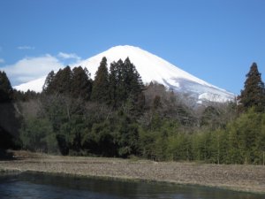 Mt.FUJI