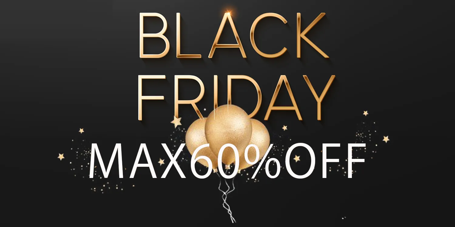 2025 BLACK FRIDAY SALE