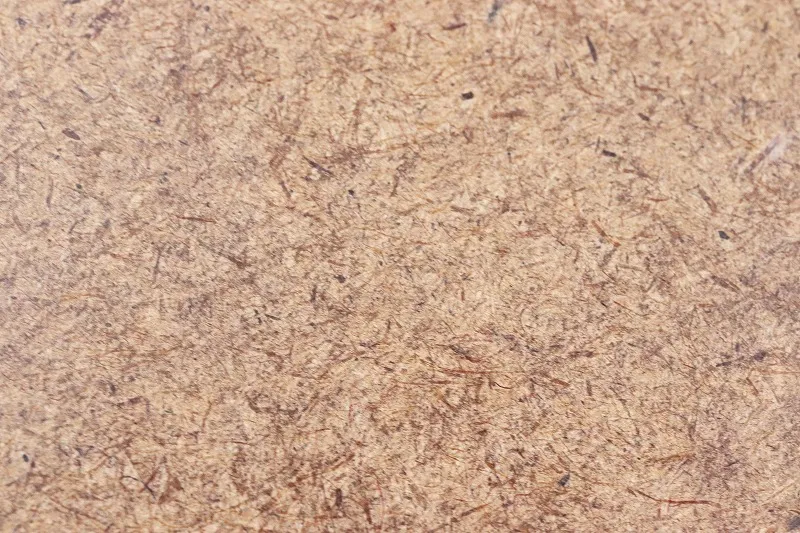 �ڼ��ܡ���