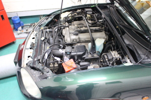 DIM Sport社 RAPiD TPM