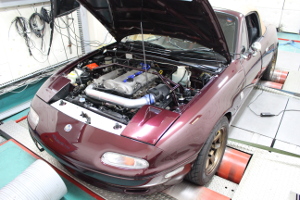 DIM Sport社 RAPiD TPM