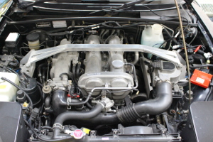 DIM Sport社 RAPiD TPM