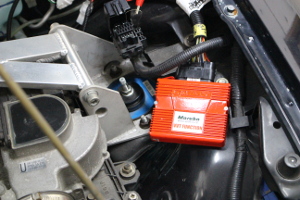 DIM Sport社 RAPiD TPM