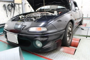DIM Sport社 RAPiD TPM