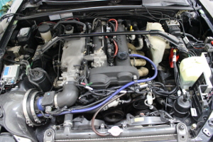 DIM Sport社 RAPiD TPM