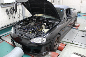 DIM Sport社 RAPiD TPM