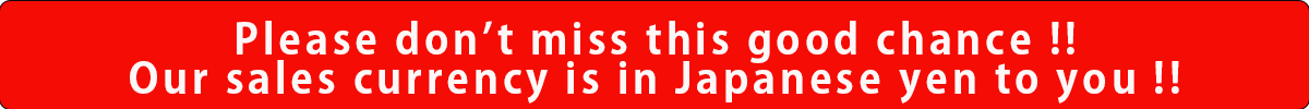 You, US customers (non-residence in Japan), don’t need to pay any domestic tax in Japan.<br>Please refer to Japanese prices shown in parenthesis.