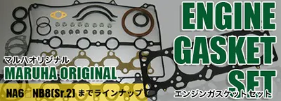 Engine Gasket Set