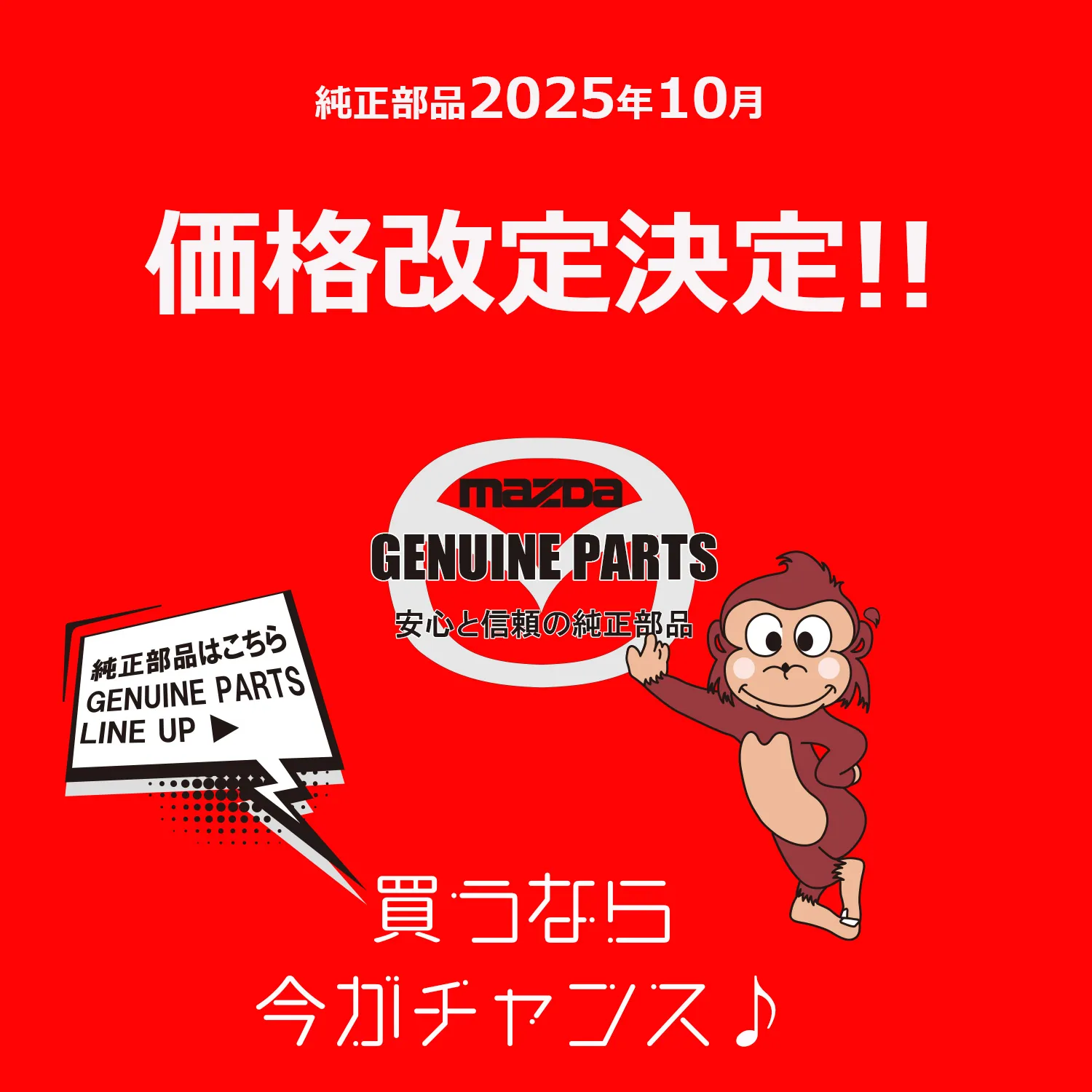 【超重要】2025年10月価格改定決定！<br>買うなら、今がチャンス♪